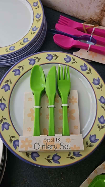 Photo of free Picnic/camping/bbq plates, cutlery and platters (Randwick GL6) #1