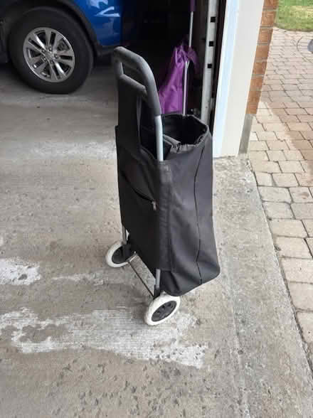 Photo of free Grocery Cart (Orleans) #2