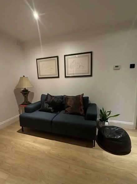 Photo of free Sofa pillows not included (Acton central) #2