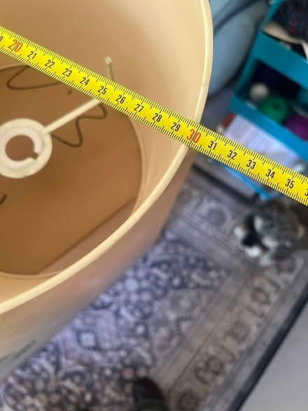 Photo of free Lamp shades (Gamlingay SG19) #4