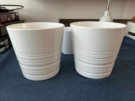 Photo of free 5 x INDOOR PLANT POTS (New Eltham SE9) #2