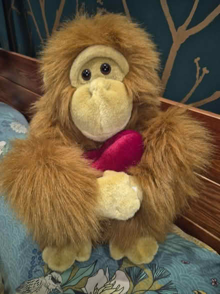 Photo of free Large orangutan stuffed toy (Abingdon OX14) #1
