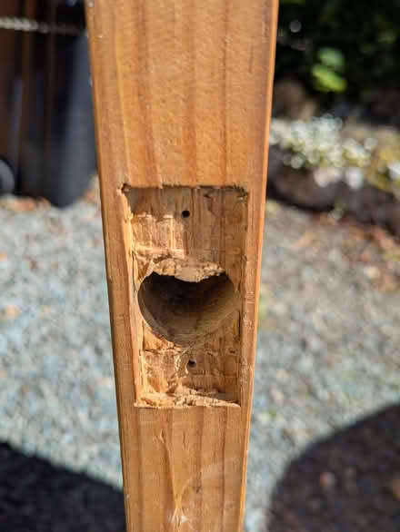 Photo of free Interior wooden door (Braithwaite CA12) #3