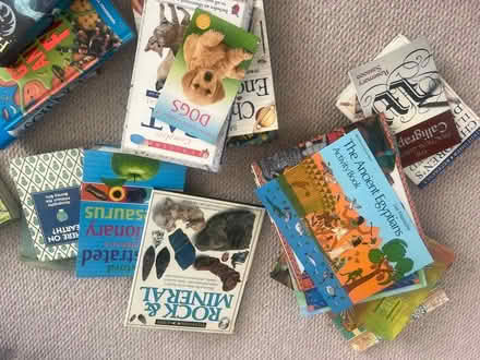 Photo of free Children’s books mainly non fiction (Weybridge KT13) #1