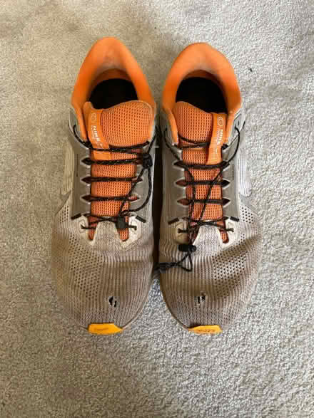 Photo of free Nike Pegasus 40 size 10 (Eastern Green CV5) #2