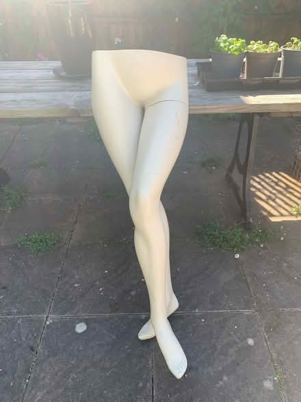 Photo of free Mannequin legs (Letchworth SG6) #1
