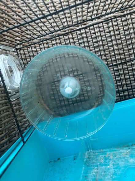 Photo of free Hamster cage (Crawley) #2