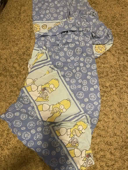 Photo of free Bart Simpson Vintage single duvet cover All in tact (Watcombe TQ2) #1