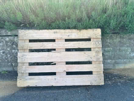 Photo of free Wooden pallet (Widcombe BA2) #1