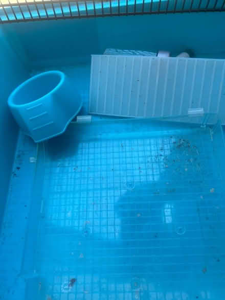 Photo of free Hamster cage (Crawley) #3