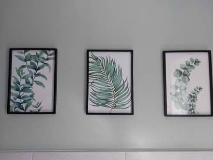 Photo of free 3 leaf prints in frames (Wrose BD2) #1