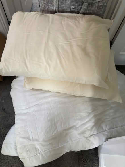 Photo of free Old duvet and 2 pillows (Yardley Wood B14) #1