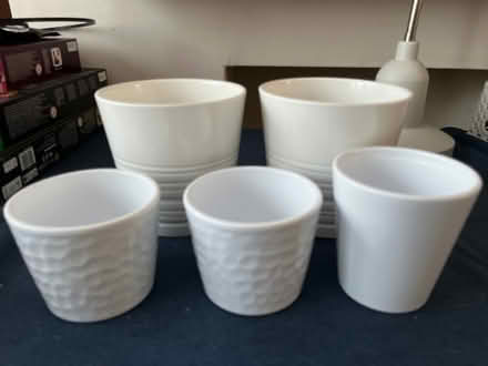 Photo of free 5 x INDOOR PLANT POTS (New Eltham SE9) #1