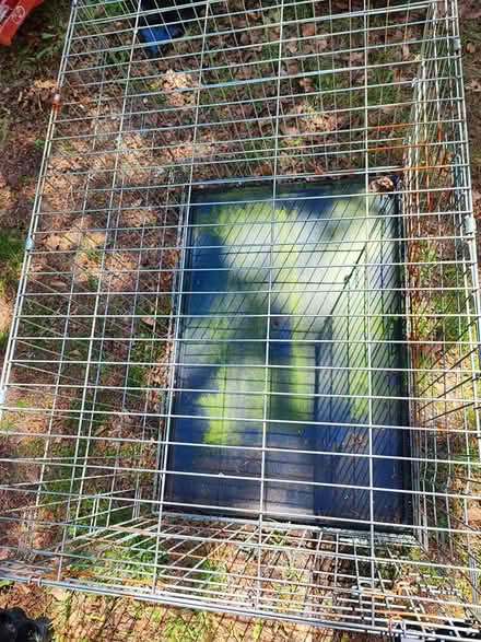 Photo of free Large Silver Dog Crate (L37) #3