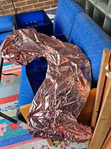 Photo of free #2 rose gold foil balloon (Near the experimental farm) #1