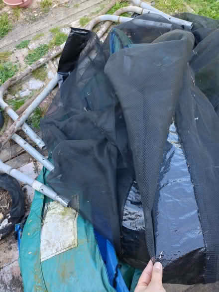 Photo of free Plum 8ft trampoline (Colchester CO1) #4