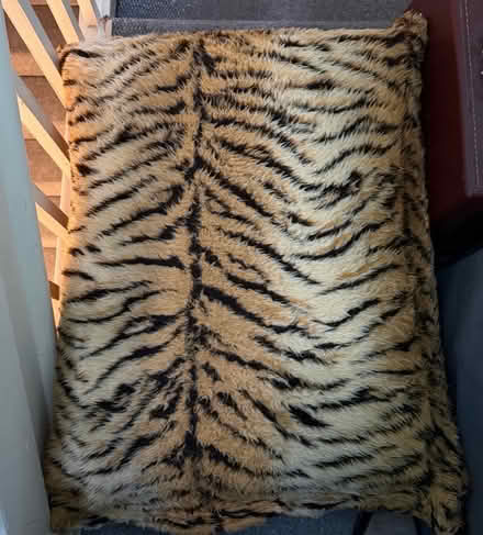 Photo of free Large cushion (Southsea PO5) #2