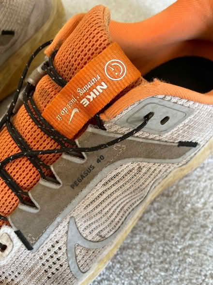 Photo of free Nike Pegasus 40 size 10 (Eastern Green CV5) #1