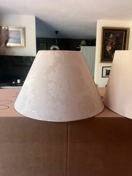 Photo of free Lamp shades (Gamlingay SG19) #1