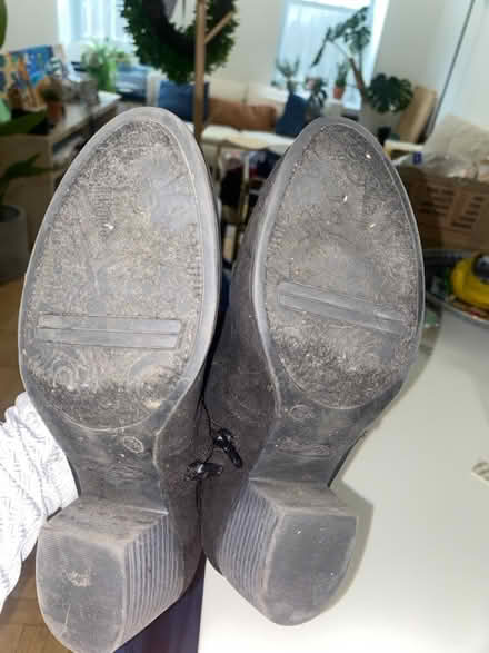 Photo of free Black sued booties 7 1/2 (Crumble cookie on w74th) #3