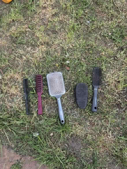 Photo of free Hair Brushes and comb (Morden SM4) #1