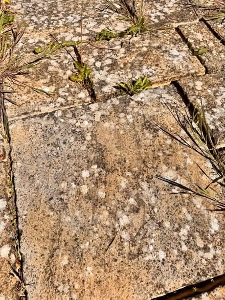 Photo of free Large number of patio stones (Studley B80) #1