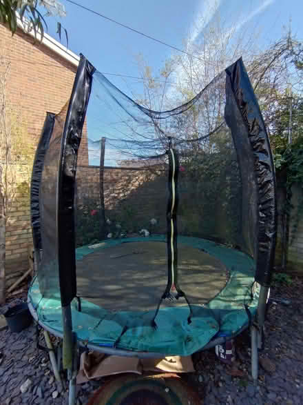 Photo of free Plum 8ft trampoline (Colchester CO1) #1