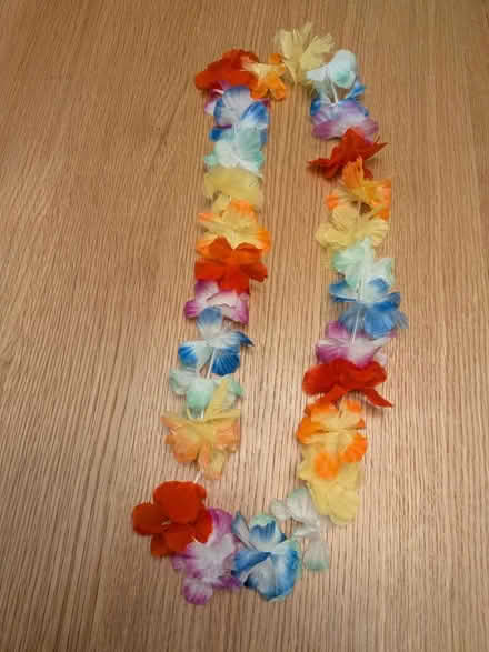 Photo of free Hawaiian lei (M33) #1