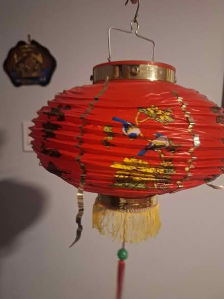 Photo of free Chinese lantern (Holly Springs, on Fuquay side) #1