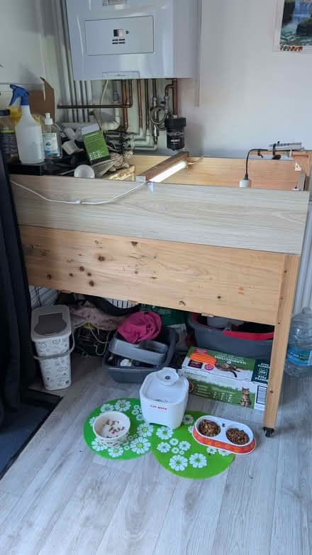 Photo of free Tortoise table with everything (Fairfield Park BA1) #1