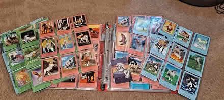 Photo of free Bella Sara trading cards (Newton, NJ) #1