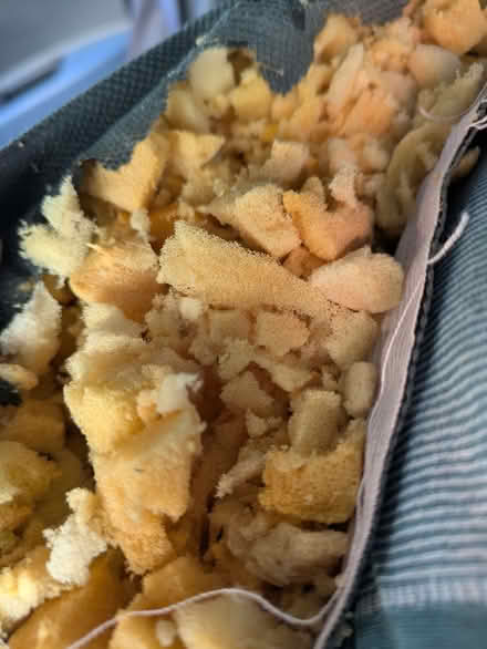 Photo of free Cushion stuffing (Fenham NE4) #1