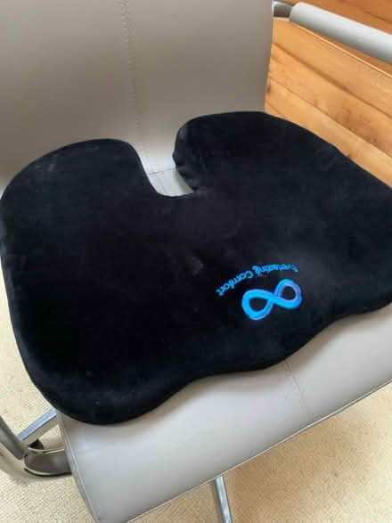 Photo of free Seat cushion (Queen Edith's Ward CB1) #2