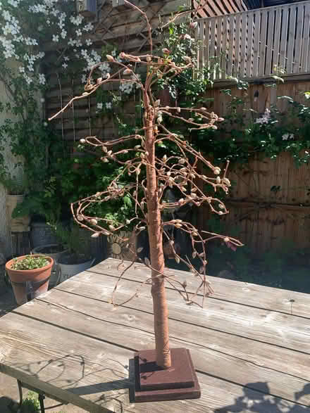 Photo of free Bendy display tree (Letchworth SG6) #1