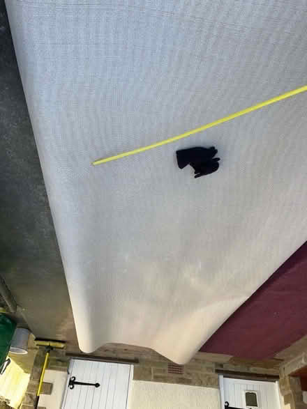 Photo of free Carpet offcut (Harden, BD16) #3