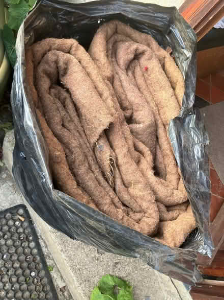 Photo of free Carpet underlay (Donnington Bridge OX4) #3