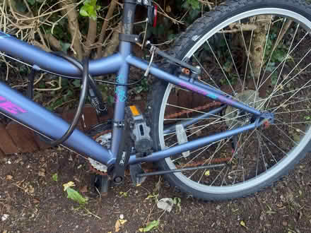 Photo of free Bike (Bray) #2