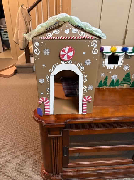 Photo of free Holiday pet houses (South Wheaton) #2