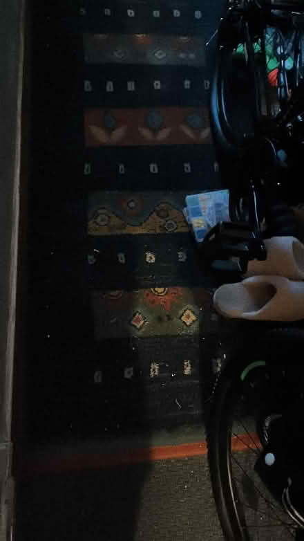 Photo of free Rug (Oxgangs EH13) #1