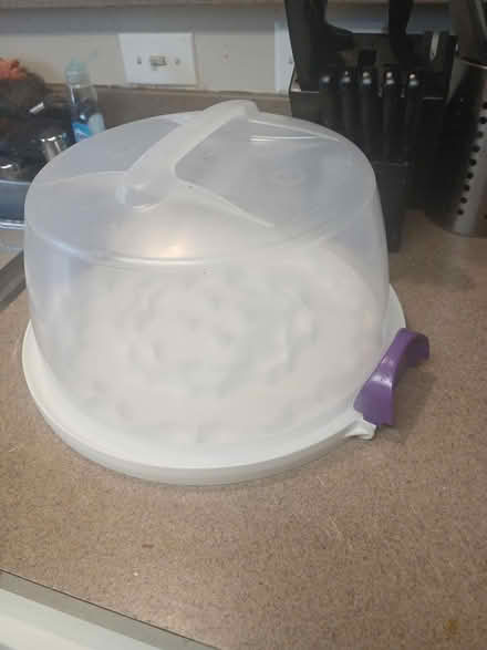 Photo of free Cake container (Southeast, Washington DC) #1