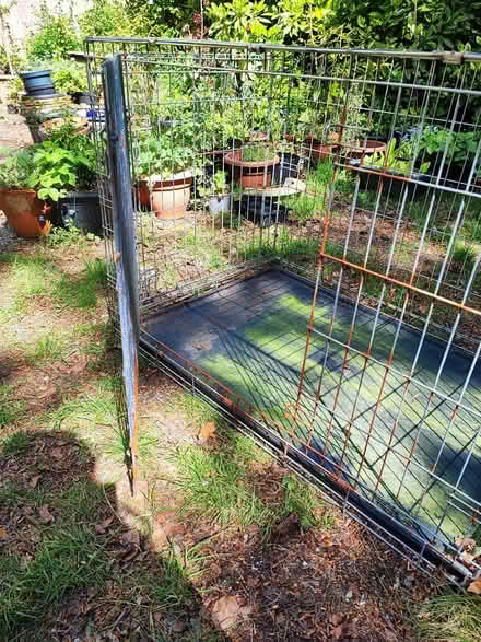 Photo of free Large Silver Dog Crate (L37) #2