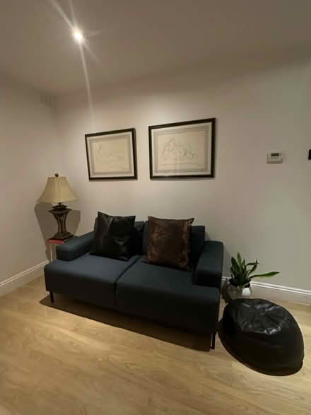 Photo of free Sofa pillows not included (Acton central) #3