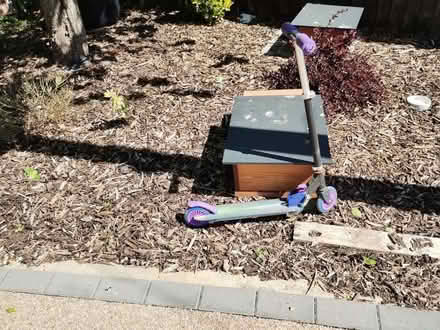 Photo of free Kids mini scooter (Tharston NR15) #1
