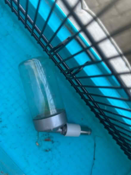 Photo of free Hamster cage (Crawley) #4