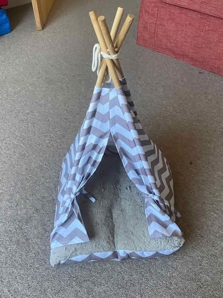 Photo of free Cat Teepee (BA1) #1
