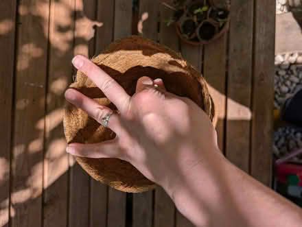 Photo of free New biodegradable pots (Richmond TW10) #2