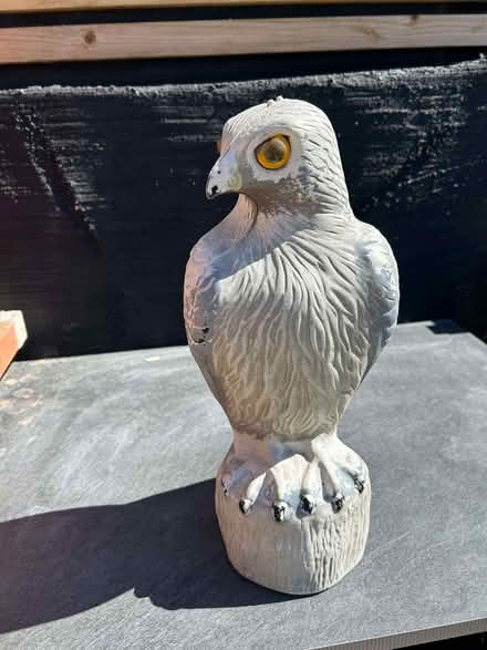 Photo of free Plastic Hawk (Wallasey CH45) #1