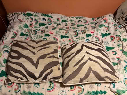 Photo of free 2 x Sofa Cushions (Peachcroft OX14) #1