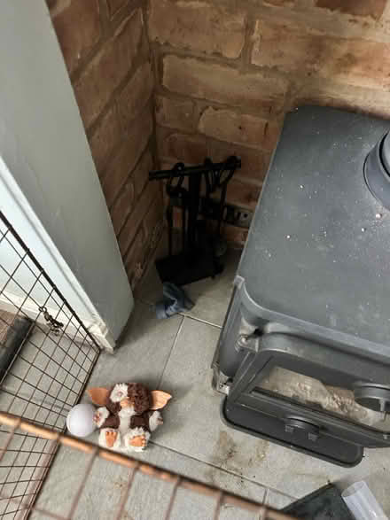 Photo of free Fire guard (Markfield LE67) #2