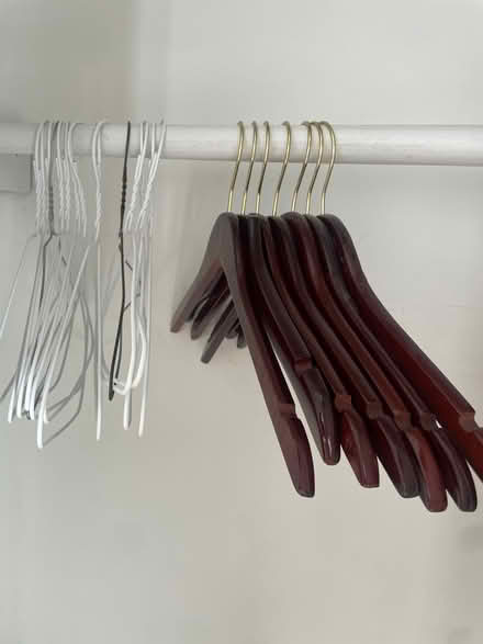 Photo of free Hangers (Brooklyn) #1